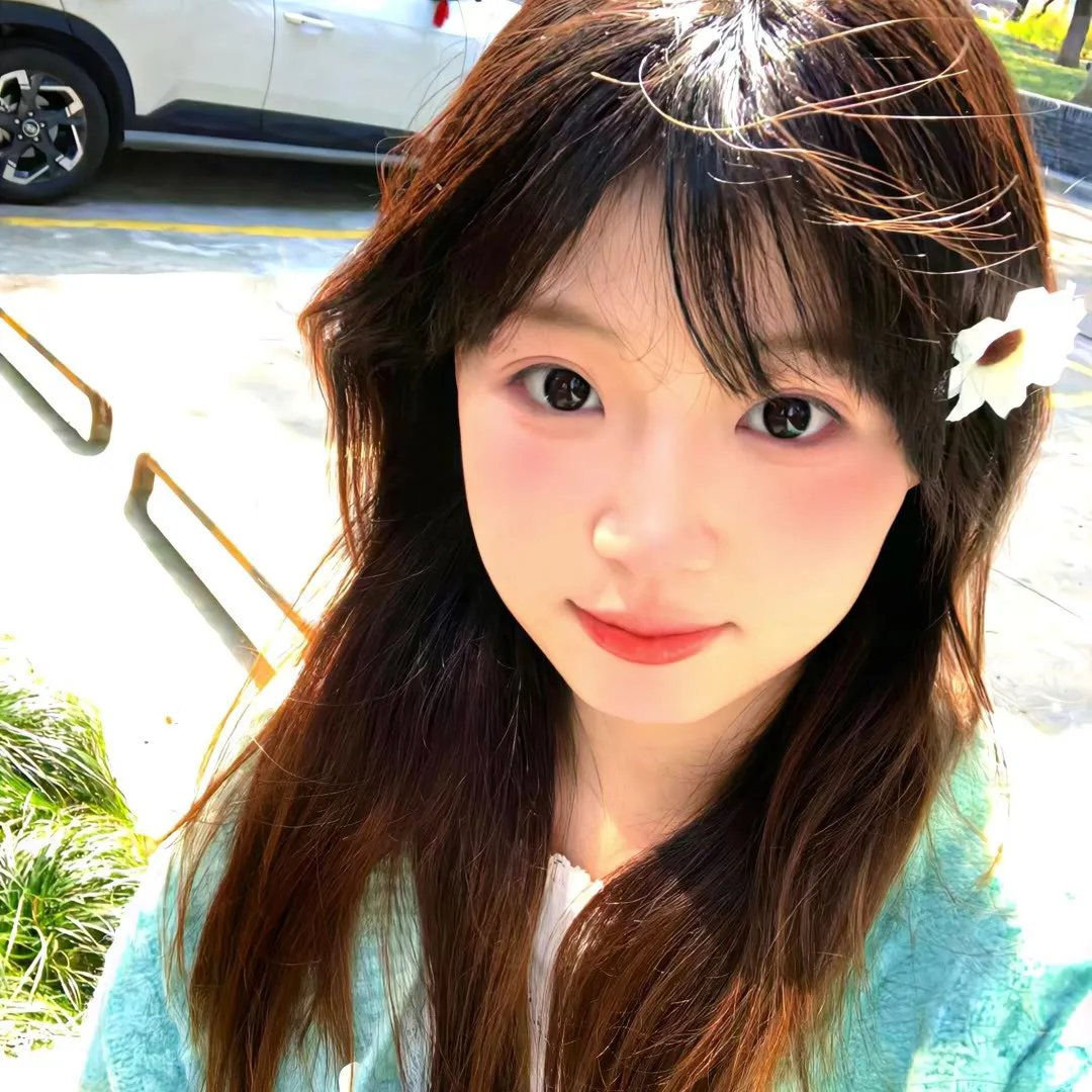 孔雀王子封面
